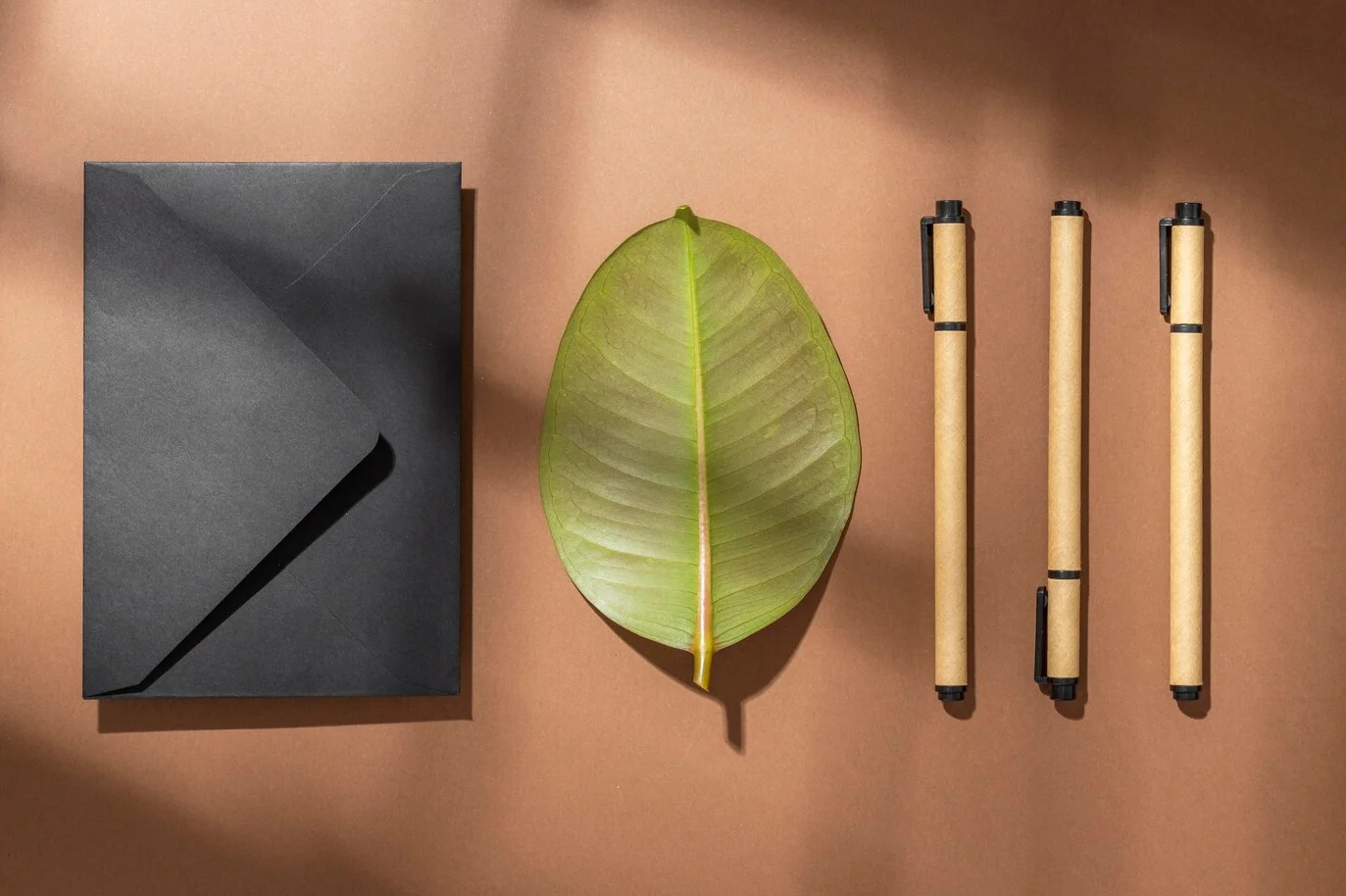 canetas sustentáveis ao lado de folha e envelope preto